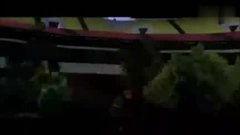 八卦最新爆料视频大全,揭秘娱乐圈幕后真相